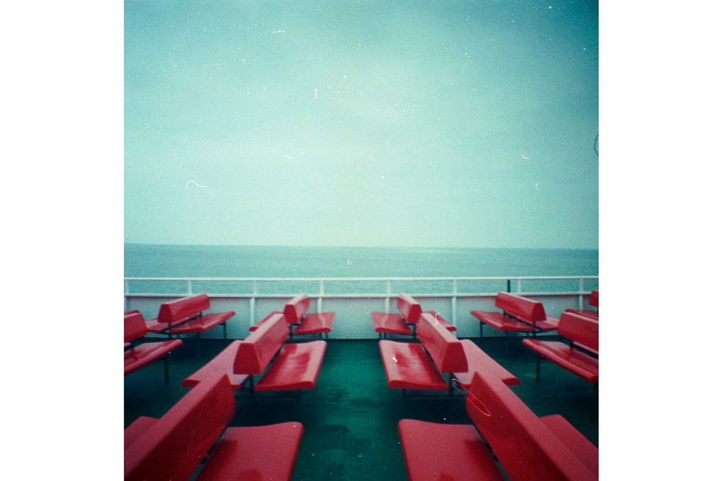 Diana Mini Picnic & Flash HAlf-Frame & Square Camera