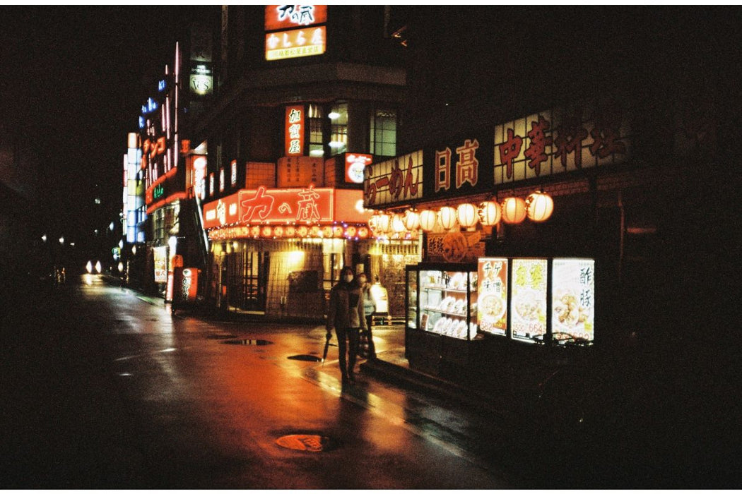 LomoChrome Metropolis 110 ISO 100–400