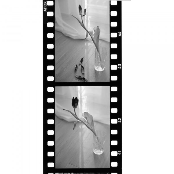 Adox Scala 50 ISO BW Reversal Film 35mm x 36 exp