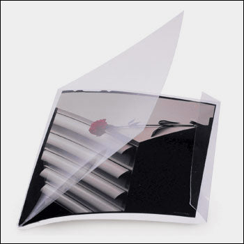 8x10 Sheet Scanning - Large Format Film