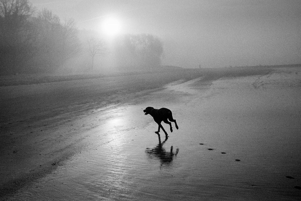 Bergger Pancro 400 35mm