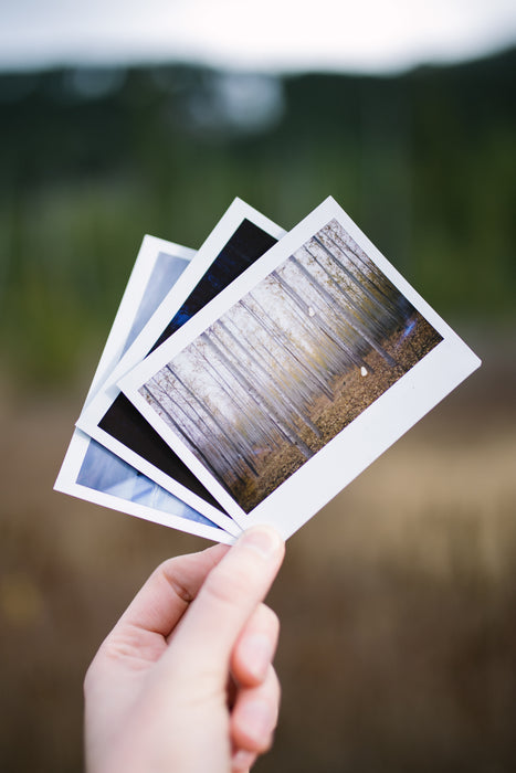 Add Prints to film development