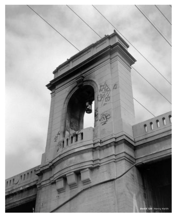 CineStill 250 Film BWXX Black and White Negative Film (120 Roll Film) Double XX