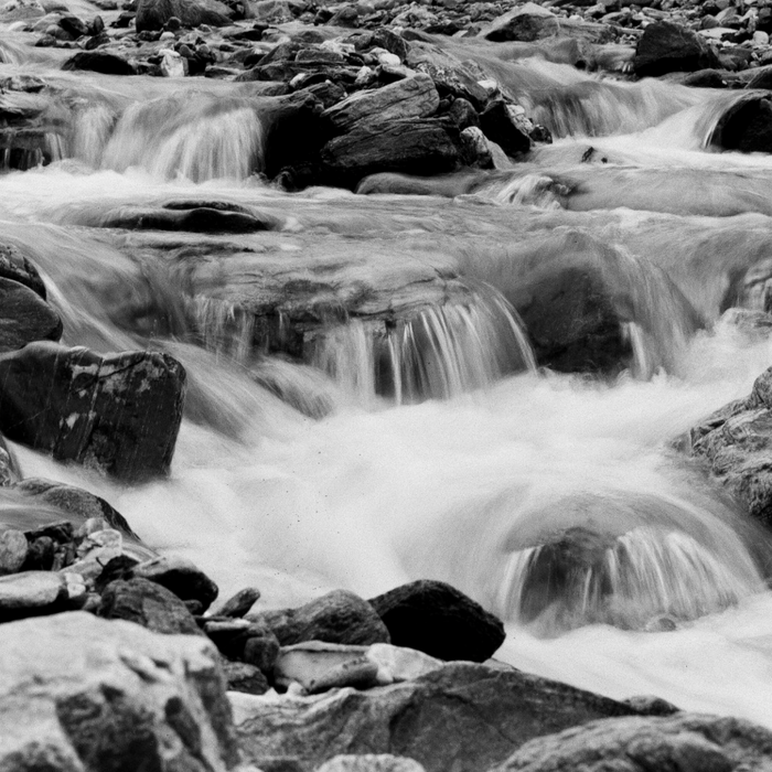 Lomography Lady Grey 400 ISO 120 Film - Single Roll