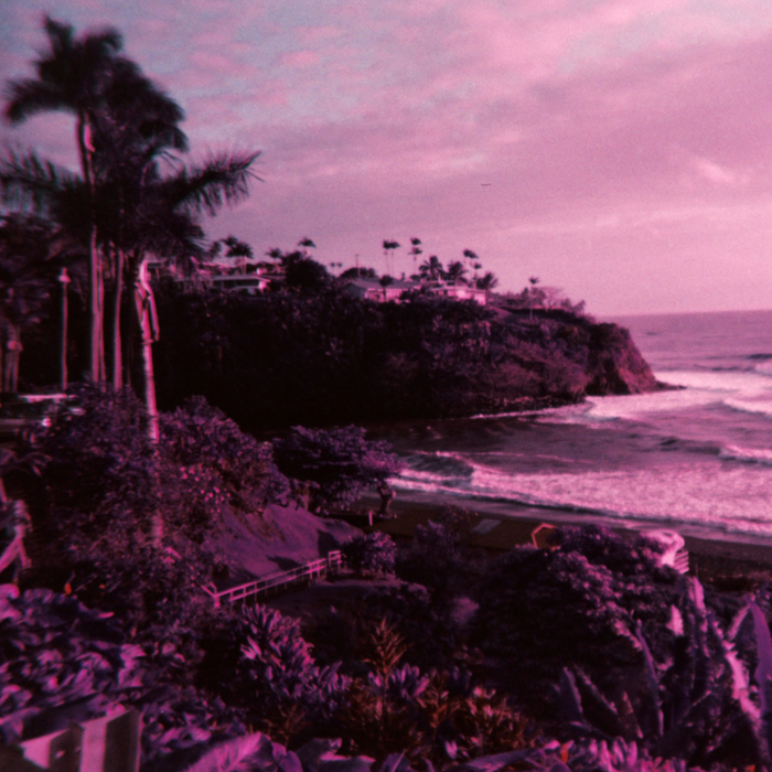 Analogue Aqua - Simple Use Reloadable Camera & Underwater Case LomoChrome Purple