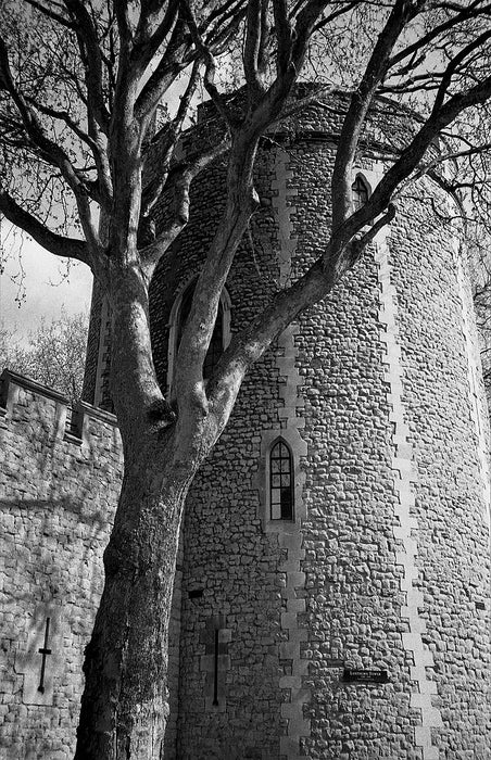 Ilford HP5 Plus Black and White Negative Film (120 Roll Film) B&W