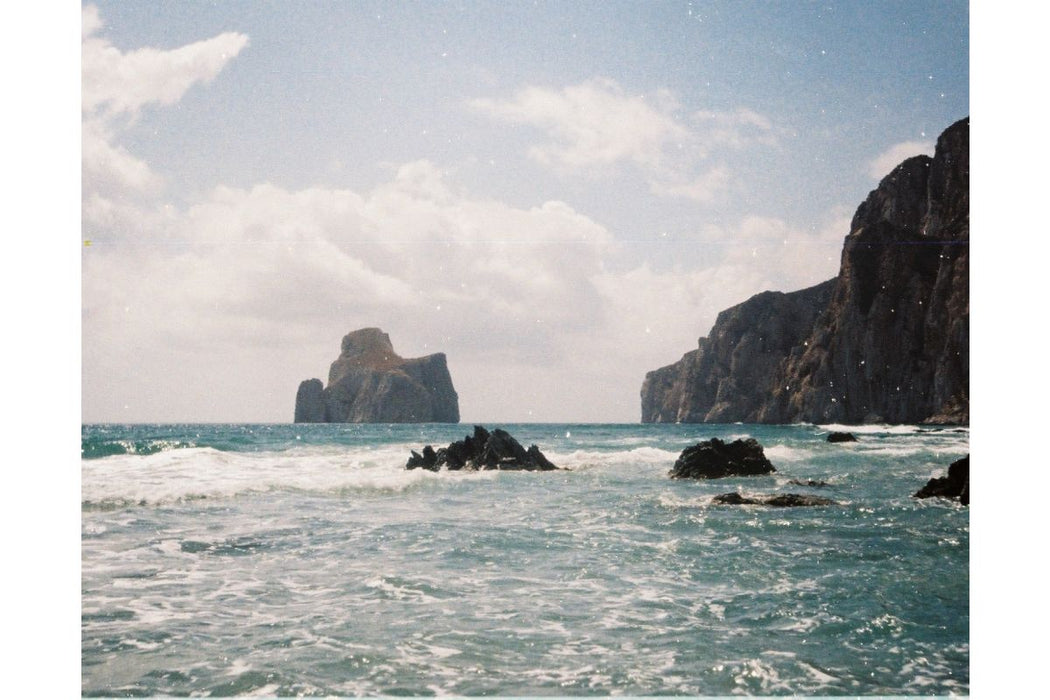Lomography Color Tiger 110 ISO 200 Film - 3 pack