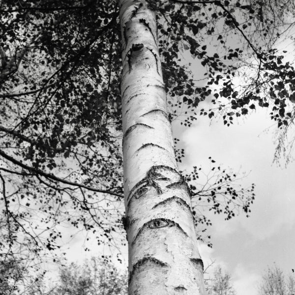 ReraPan 100F 100 ISO Black and White Film - 127 Size