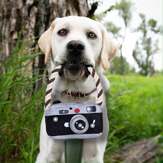 Plush Camera-Shaped Dog Toy With Cotton Rope - Plushie