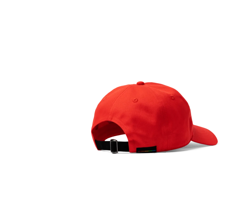 Polaroid Go Dad Hat - Retro Embroidered Cotton Logo Cap