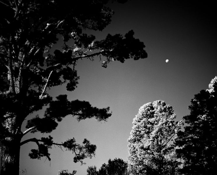 Rollei Infrared 400 — 35mm B&W Film - ISO 400 - 36 Exp