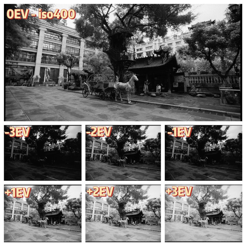 Zarya400 B&W 135 Film Reflx Lab Soviet Film - Single Roll (Svema Type 42 Ukraine)