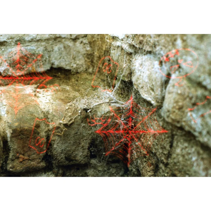 KONO! BOO! — 35mm Color Film - ISO 200 - Pre-Exposed Halloween Special Horror Film - 24 Exp C41
