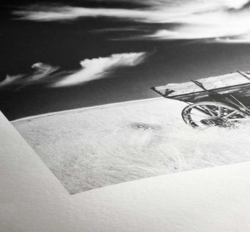 10×10 Fine Art Print