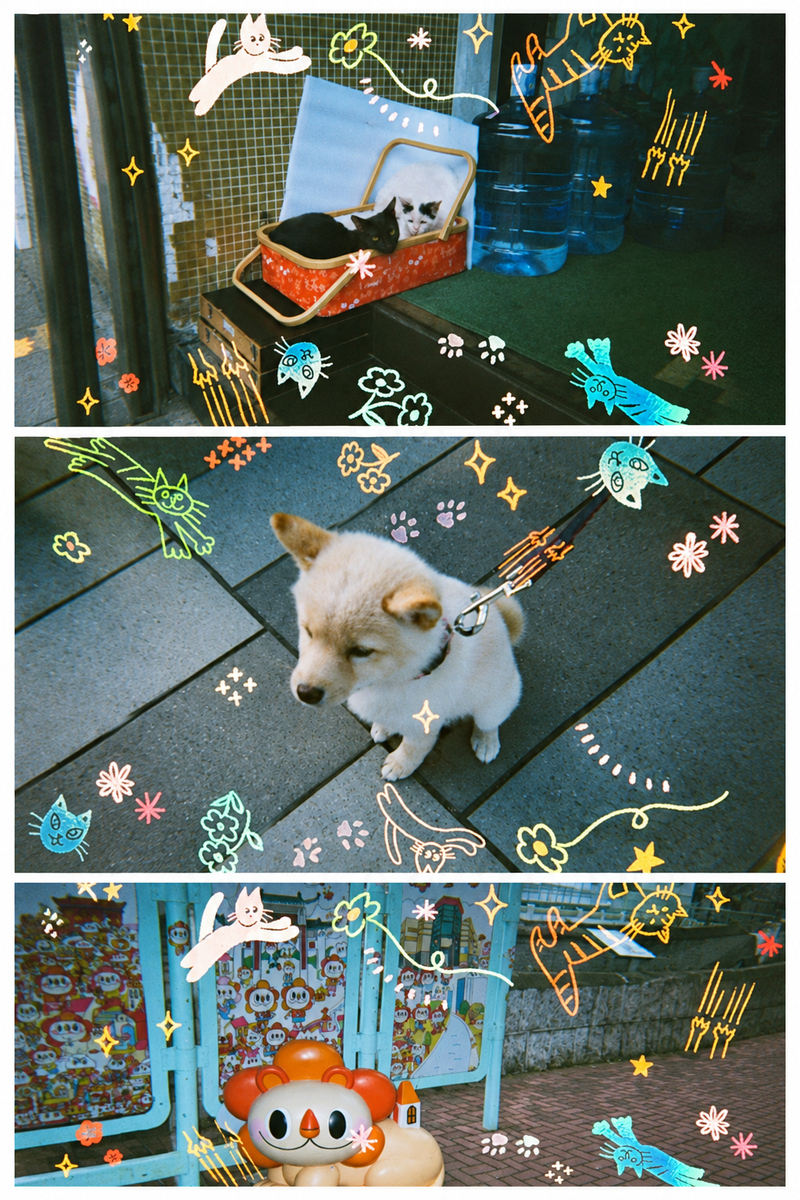 Three example photos stacked vertically