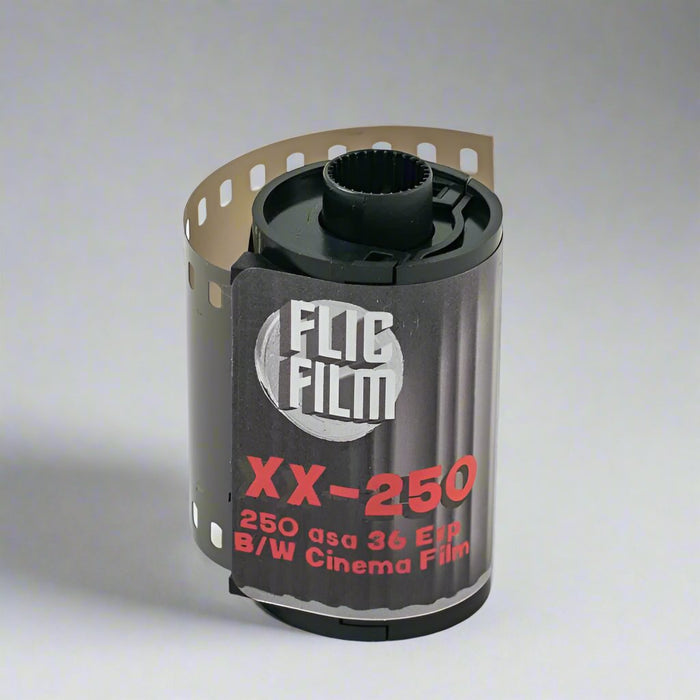 Flic Film Double-X ISO 250 35mm 36 Exposure Roll