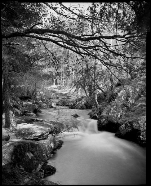 Bergger Pancro 400 ISO 400 120 B&W Film - Medium Format (Single Roll)