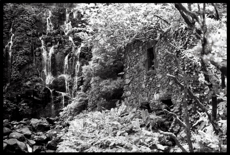 Film Washi Z — 35mm Near-Infrared B&W Film - ISO 400 - 24 Exp