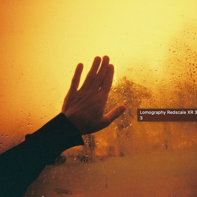 Lomography Redscale XR ISO 50-200 35mm Film - 36 Exposures