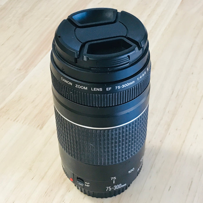 Canon EF 75-300mm 4-5.6 III Zoom Lens